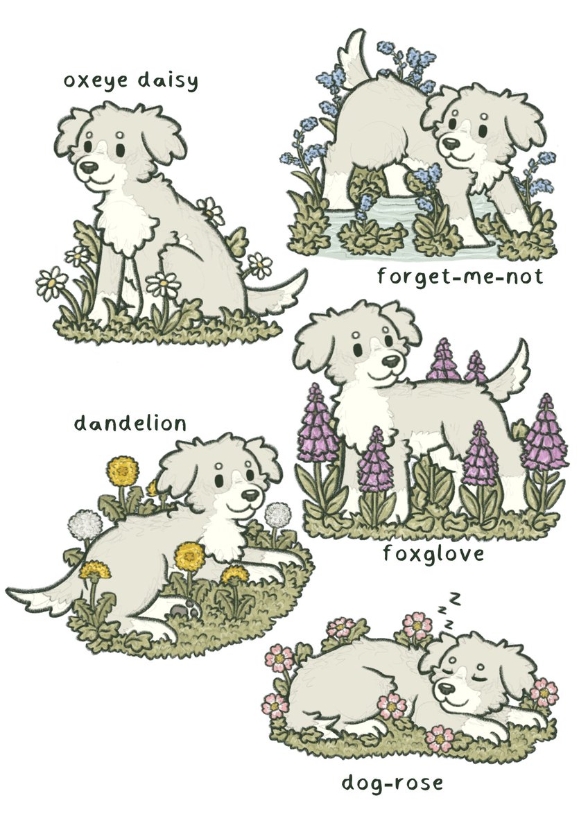 VHSdogs's tweet image. reply or dm to get a ping when the wildflower c0mmissions open ! :o3