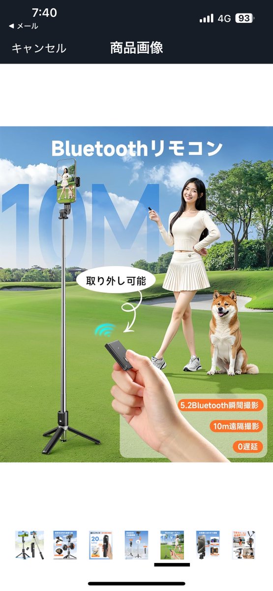 Oimodar603's tweet image. これ柴犬じゃなくない？なんかピットブル混ざってない？