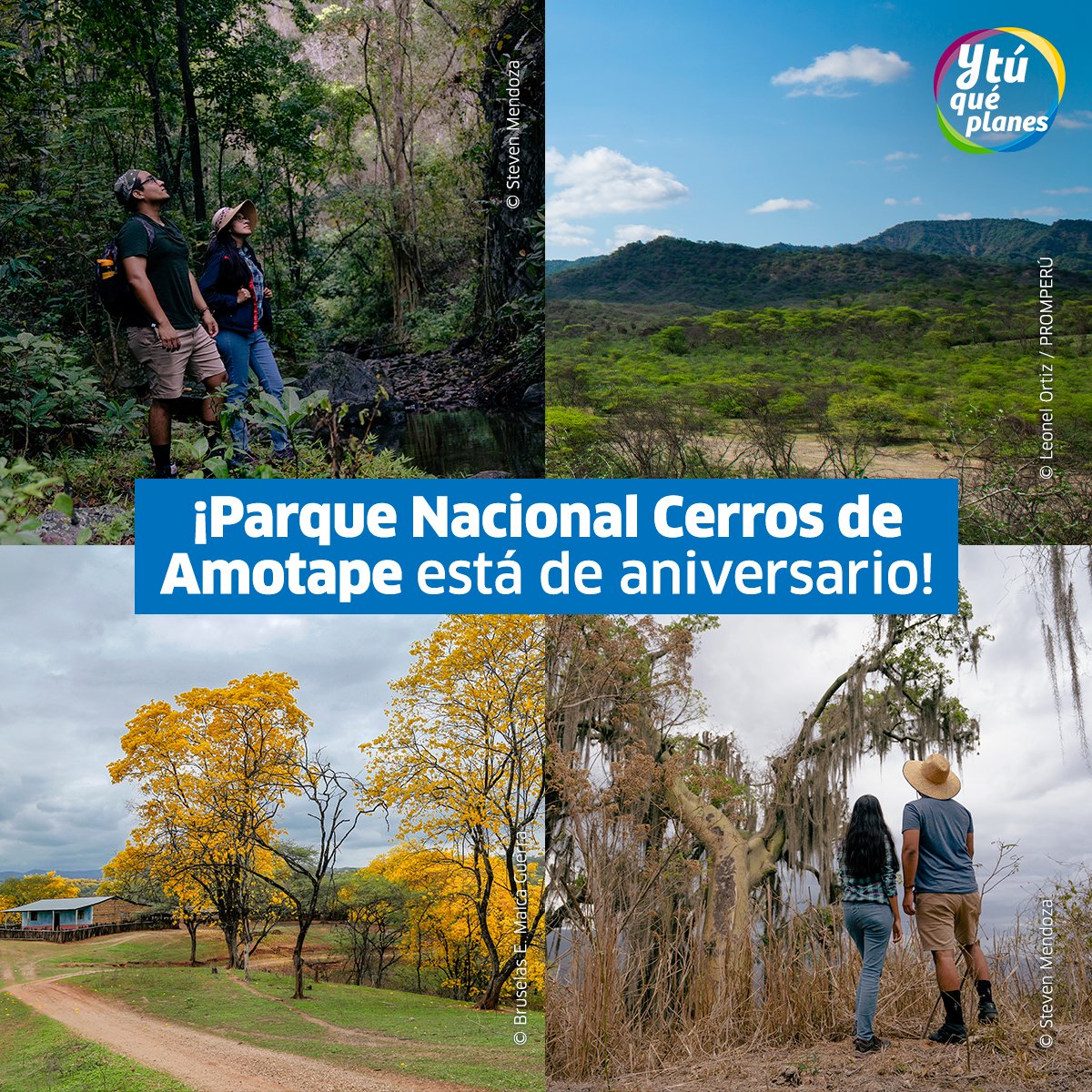 ConoceelPeru's tweet image. ¡Atención amante del trekking y la vida salvaje!🌿
Tu próxima parada es Parque Nacional Cerros de Amotape, que hoy está de aniversario. Explora rutas con jaguares🐯, cocodrilos🐊 y más de 400 especies de fauna.
👉Conoce más aquí: bit.ly/4lANmVK
#VíveloEnPerú #Tumbes