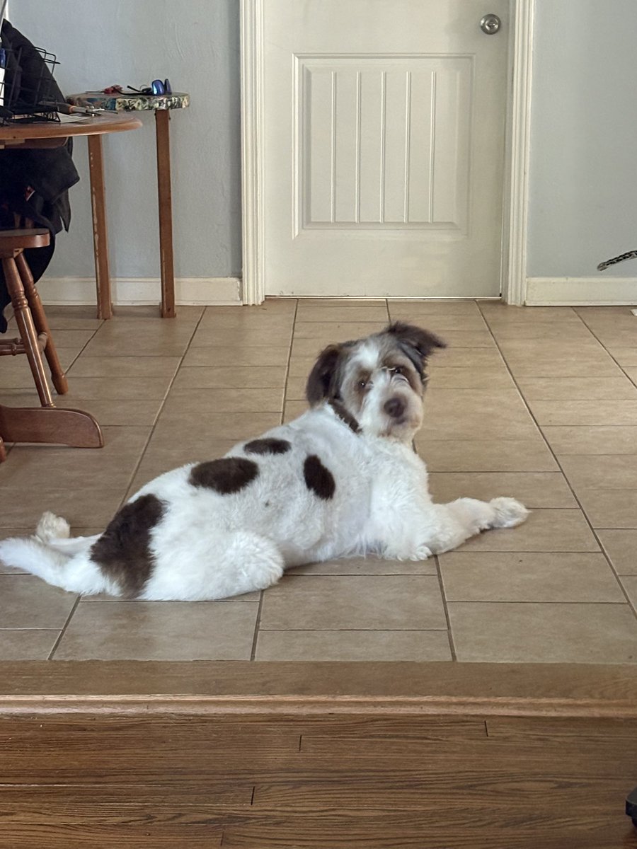 JustinKaelinPXP's tweet image. First pic on the new phone. Ol’ Jeter Boy.