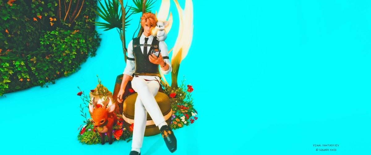 miketamaneco's tweet image. おはよう

🐨可愛いね
マケボで100ギルだけど…
是非買ってあげて🐨
もうすぐ8月って知ってた？？？
暑さに負けず今日もいこまい👋

#Humsing　　#FF14 　#エレオス　 #エレゼン