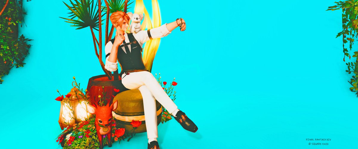 miketamaneco's tweet image. おはよう

🐨可愛いね
マケボで100ギルだけど…
是非買ってあげて🐨
もうすぐ8月って知ってた？？？
暑さに負けず今日もいこまい👋

#Humsing　　#FF14 　#エレオス　 #エレゼン