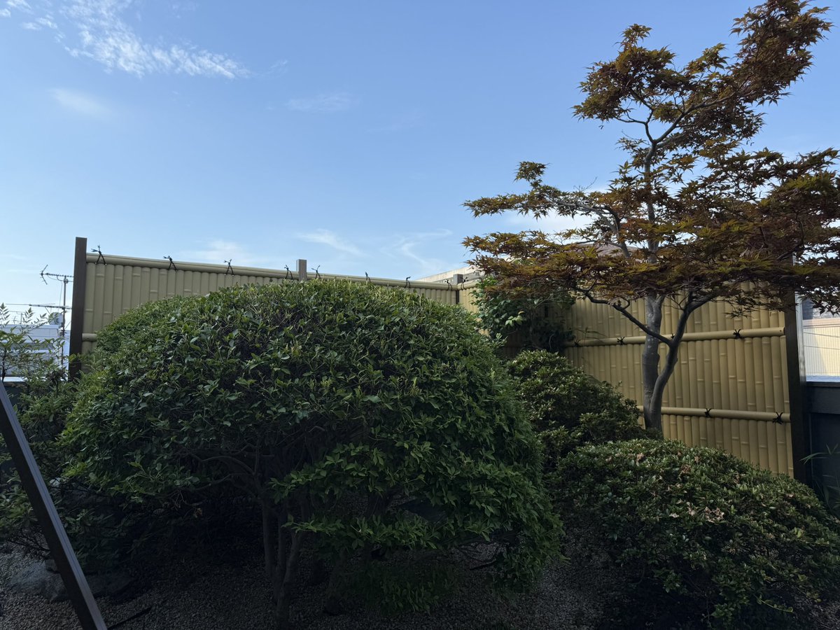 kato_sekiyuxx's tweet image. おはようございます☀
現在 29°
最高気温 36°
今日は『日本最高気温の日』
猛暑日が続きますが、水分・塩分補給をしっかりと体調管理に気をつけて過ごしましょう😁🍉🏖️
本日も宜しくお願い申し上げます😆
#企業公式が朝の挨拶を言い合う #企業公式フォロー祭り #給油をもっと楽しく…