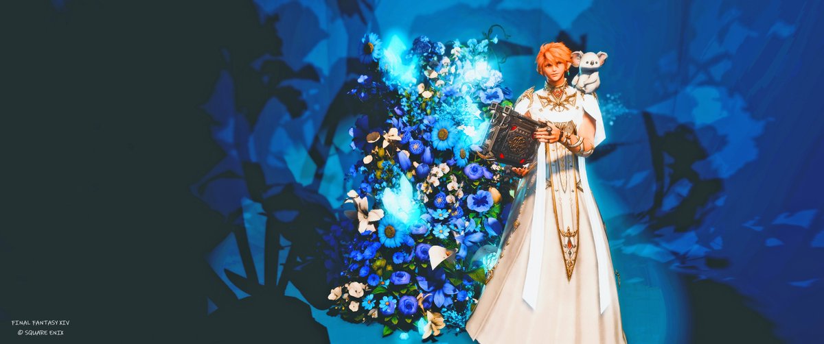 miketamaneco's tweet image. おはよう

🐨可愛いね
マケボで100ギルだけど…
是非買ってあげて🐨
もうすぐ8月って知ってた？？？
暑さに負けず今日もいこまい👋

#Humsing　　#FF14 　#エレオス　 #エレゼン