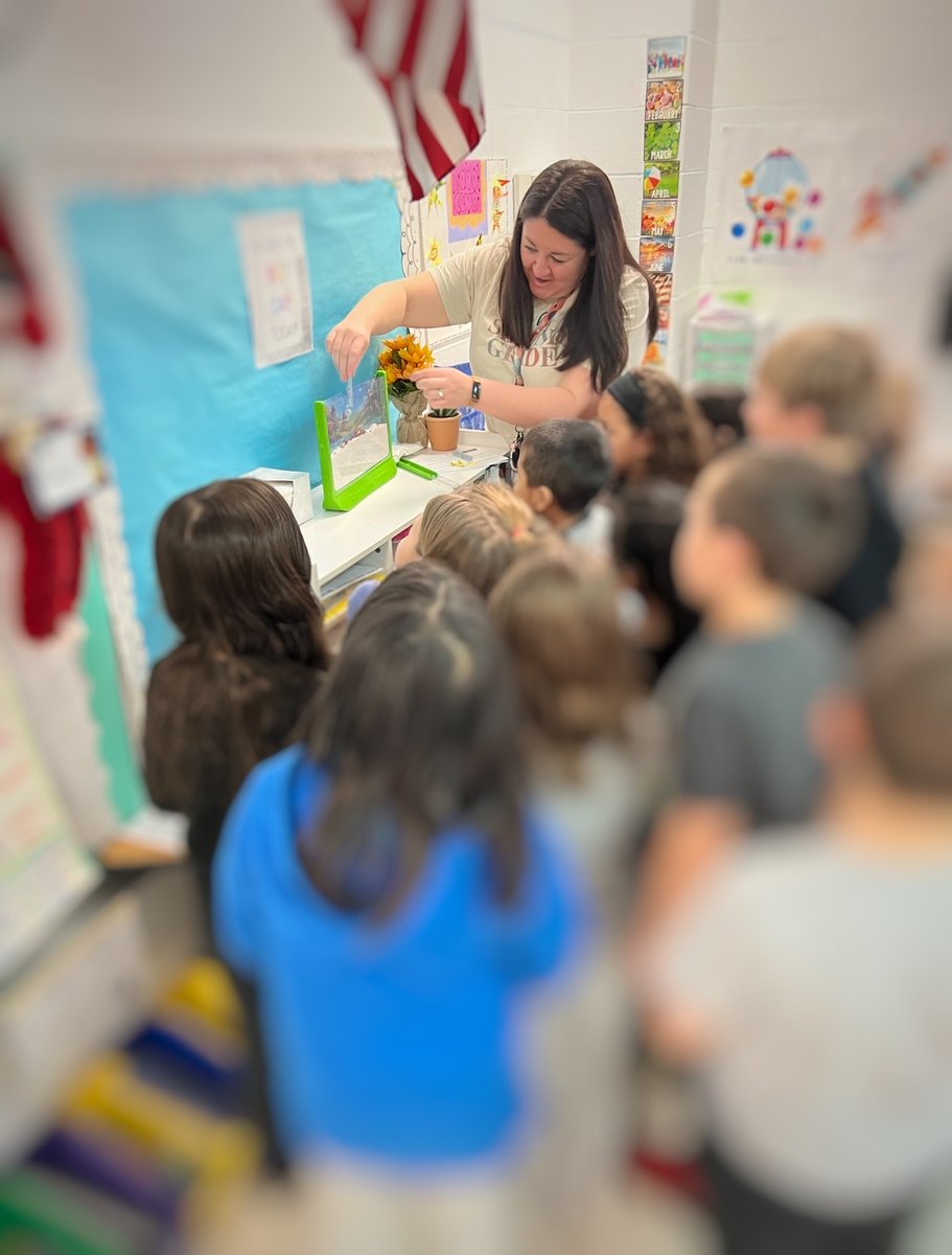 Mrs. S (@meghan0121) on Twitter photo <a href="/Angry_Staffer/">Angry Staffer</a> This teacher is always so grateful for any help! Without donations, interactive learning like a classroom ant farm wouldn’t be possible 🐜 🐜
🏫 2nd grade teacher
🗓️ 18th year of teaching
📚 Passionate about children’s lit
⭐️ Wishlist tinyurl.com/pp89xper <a href="/Angry_Staffer/">Angry Staffer</a> This teacher is always so grateful for any help! Without donations, interactive learning like a classroom ant farm wouldn’t be possible 🐜 🐜
🏫 2nd grade teacher
🗓️ 18th year of teaching
📚 Passionate about children’s lit
⭐️ Wishlist tinyurl.com/pp89xper