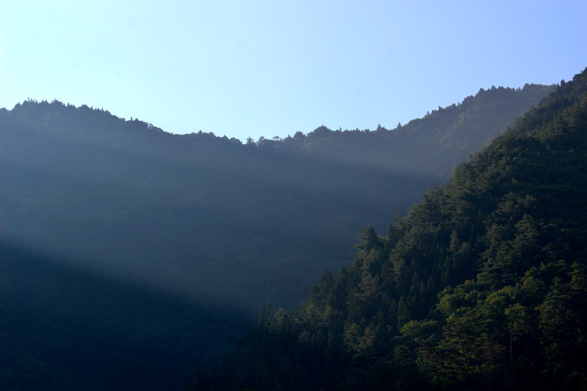 drumythm's tweet image. 斜光。