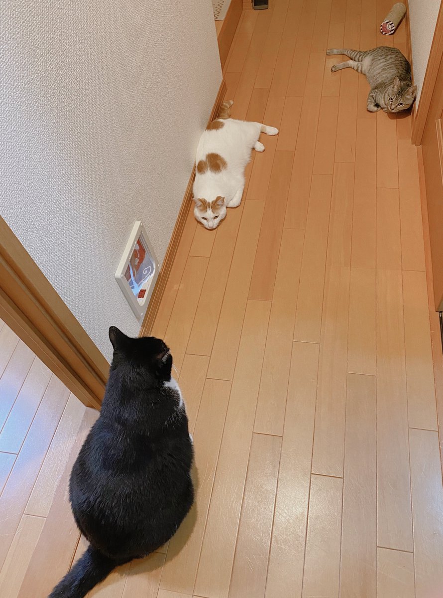 soraco0911's tweet image. 高難易度のトラップエリアに辿り着いた時