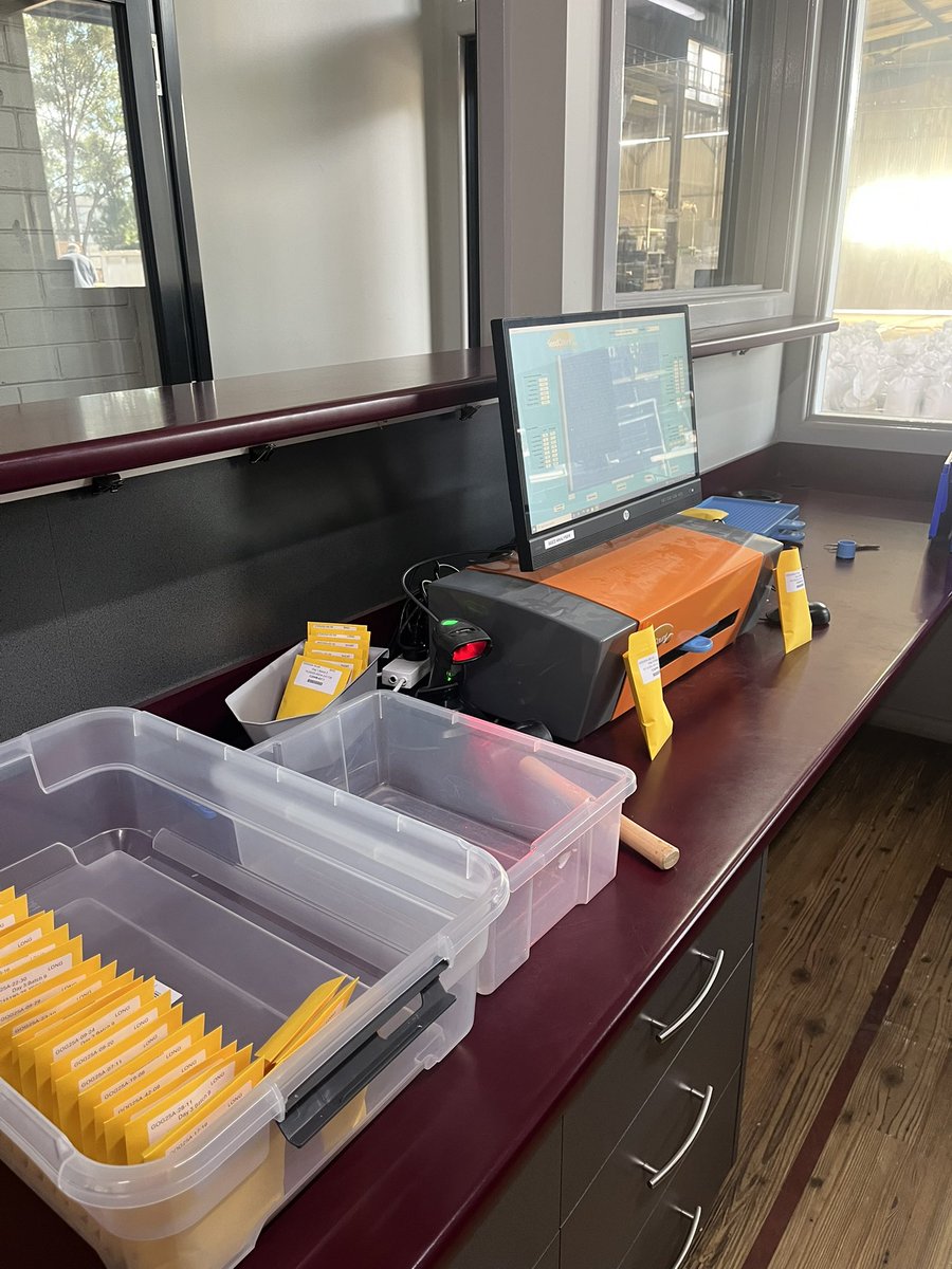 Rice Breeding Australia tweet media