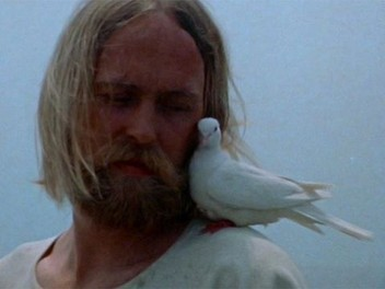 Roger Giner-Sorolla tweet media