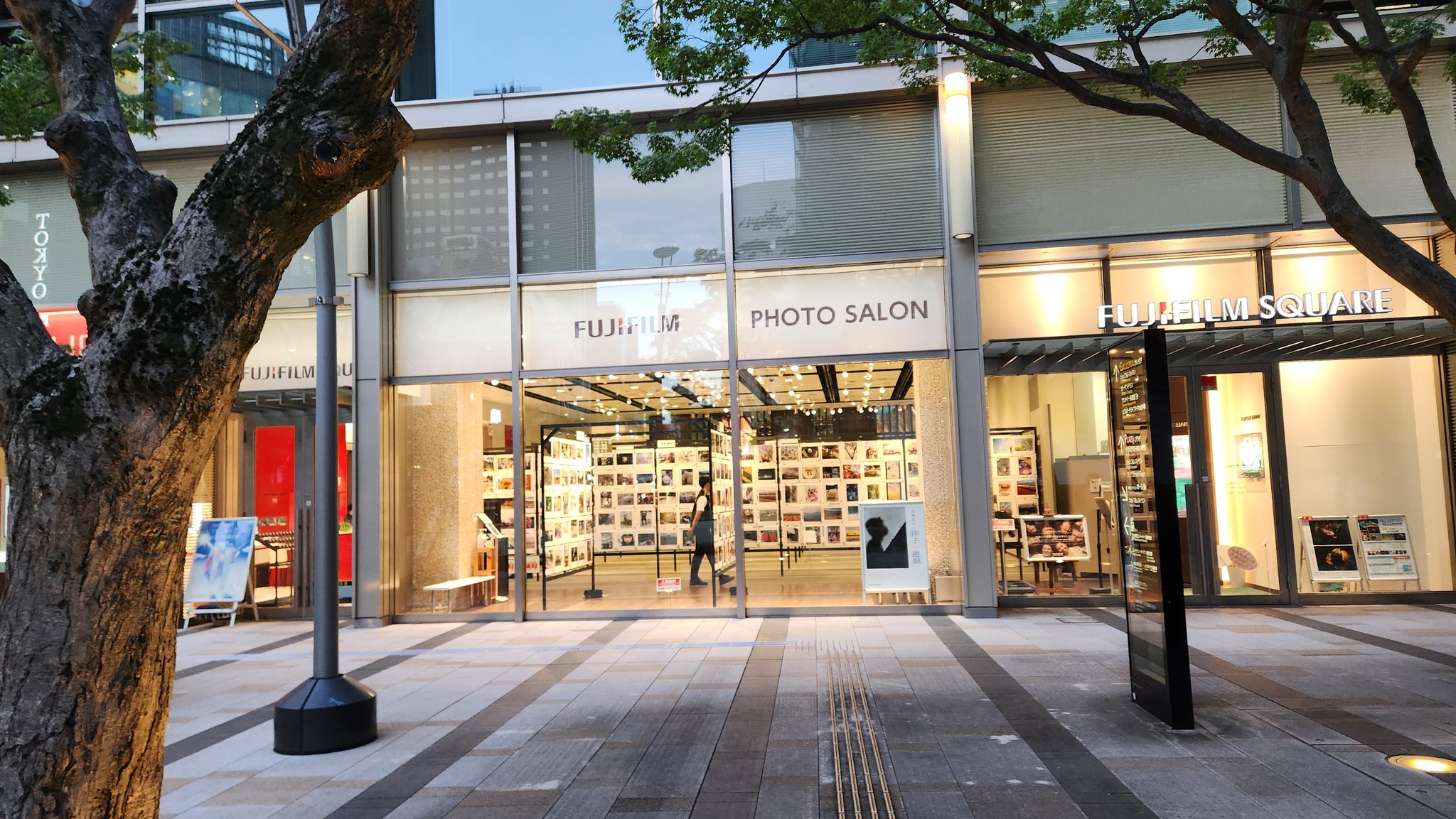 9番街レトロの1年展 フォトT Mサイズ アサ☆シン🌸🐇🐈🦙☂️🐸 on X: 