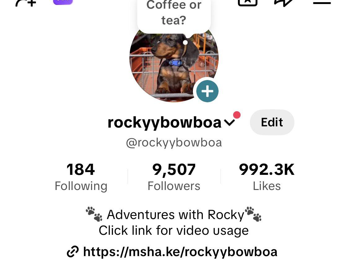 bugs836's tweet image. Two weeks I told myself I wanted to spend more time on things that bring me joy and decided to make a fun page for my dog Rocky. 

It has been two weeks and he has accumulated almost 1 million likes and on one video alone 834,000 likes and 6.1 million views. Rocky has a lot of…