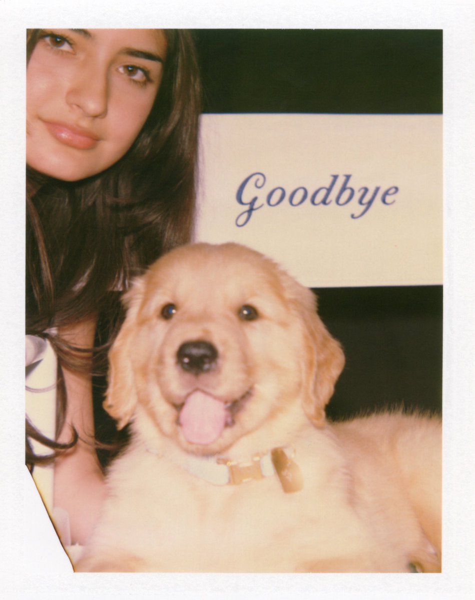 bedchemtruther's tweet image. oh my god i’m helping Sabrina and i’m the first to announce the 12th song on Man’s Best Friend called “Goodbye” 🐾💛