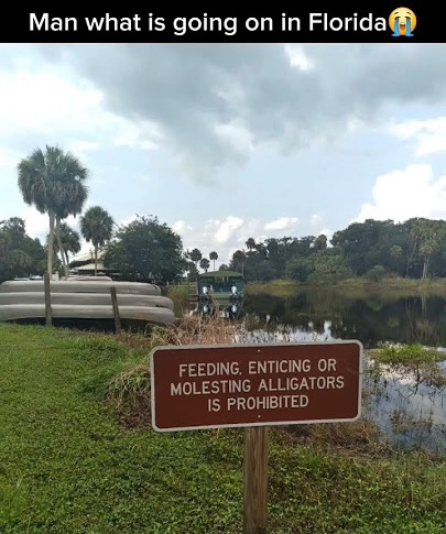 Images AI Could Never Recreate (@imagesaicouldnt) on Twitter photo 