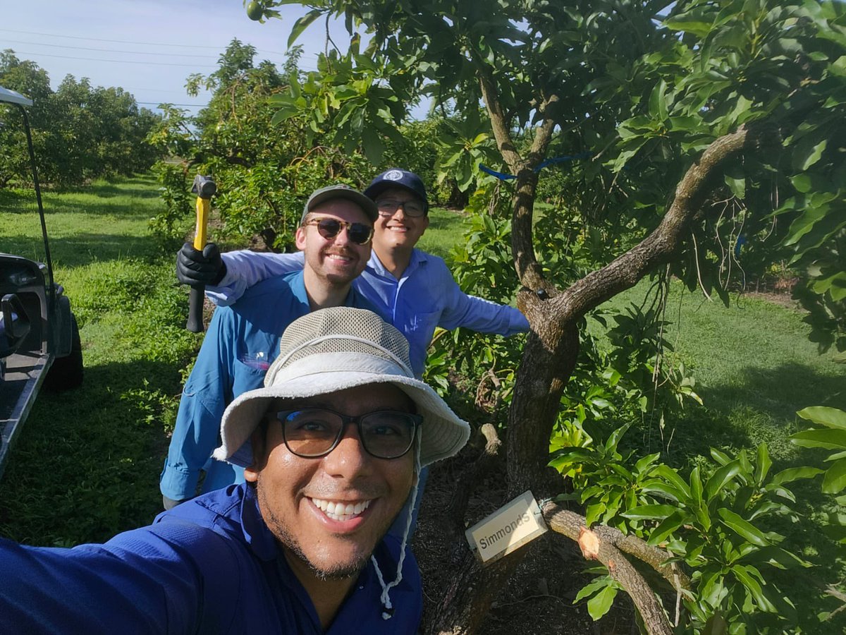 Tropical Plant Clinic & Research Lab tweet media