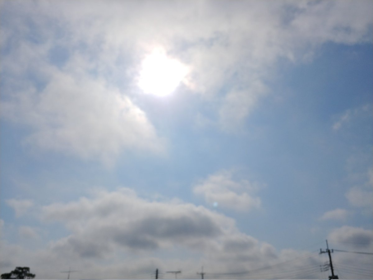 tompeko383912's tweet image. おはようございます☀️29.3℃
蒸し暑いですね
今日も頑張ろう
#イマソラ
