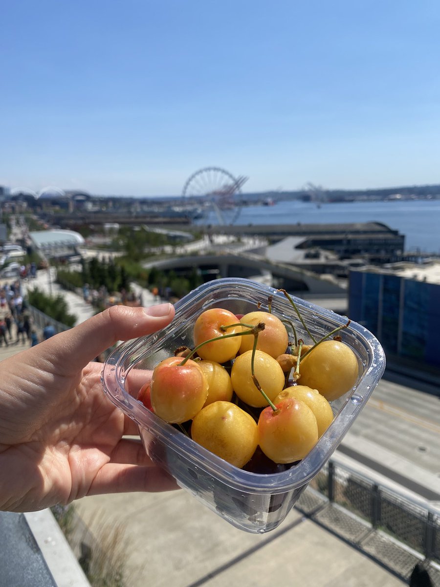 amy_wesson's tweet image. I had to pour my water bottle down my arm after the peach I had (not pictured otherwise my phone would still be sticky).