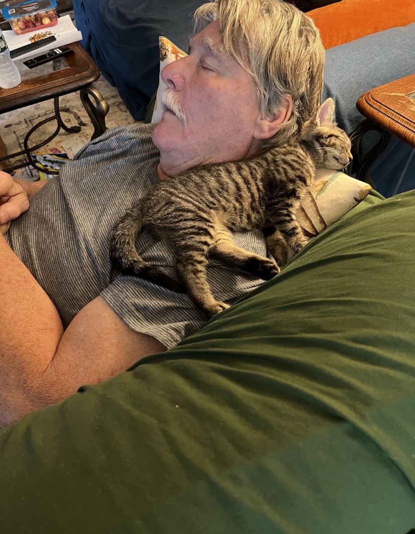 catshealdeprsn's tweet image. No more cats!
This is my husband, who said, “No! No more cats! Absolutely not!” He found Lucy in our tool shed, and she joined our other two cats and our dog.