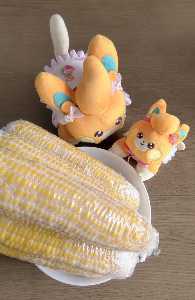 Mimi5_pamo's tweet image. 茹でたてのとうもろこし買ってきたよ～🌽
｢わ！おいしそ～！｣
｢おちびちゃん 、あつあつだから、きをつけてね｣
｢は～い！｣