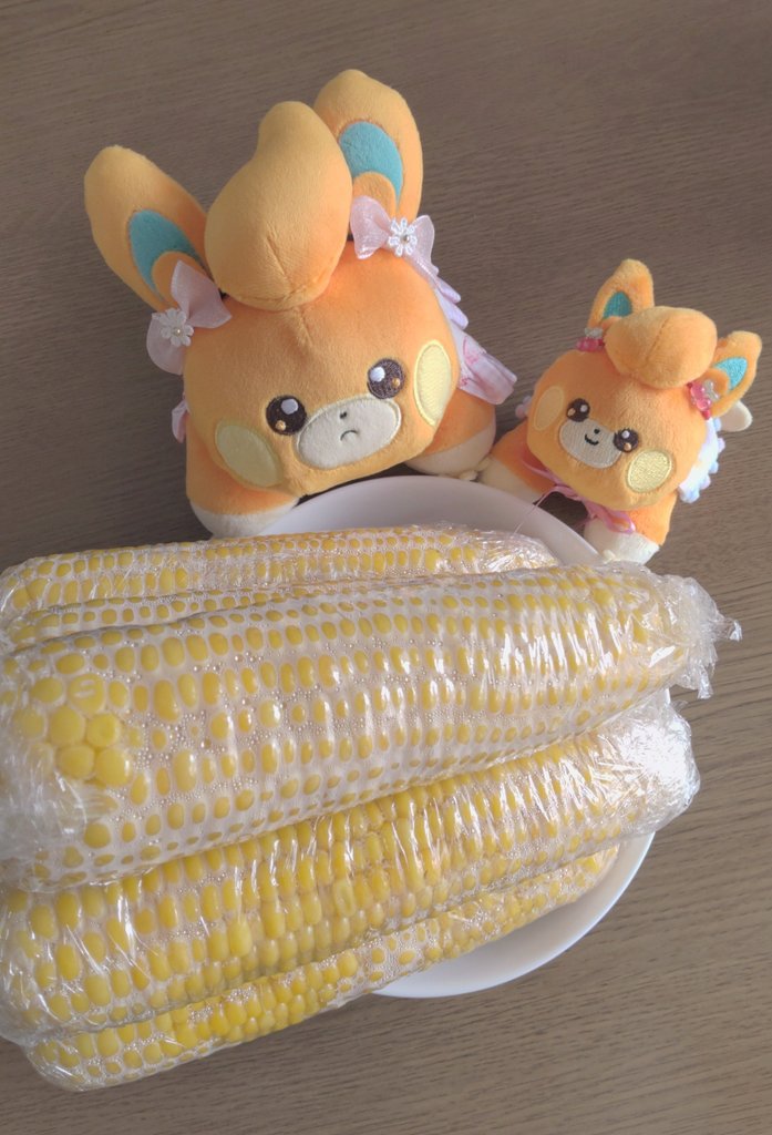 Mimi5_pamo's tweet image. 茹でたてのとうもろこし買ってきたよ～🌽
｢わ！おいしそ～！｣
｢おちびちゃん 、あつあつだから、きをつけてね｣
｢は～い！｣
