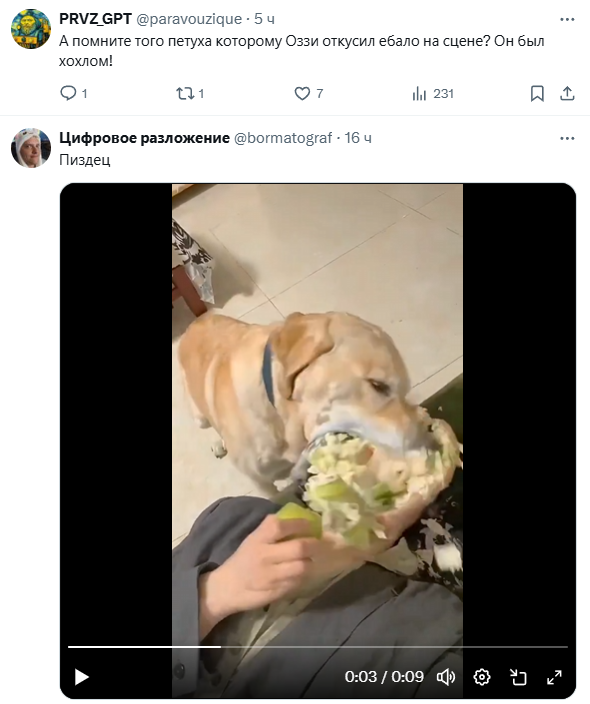 Net_Mouse_spb's tweet image. Рубрика &quot;Два твита&quot;.