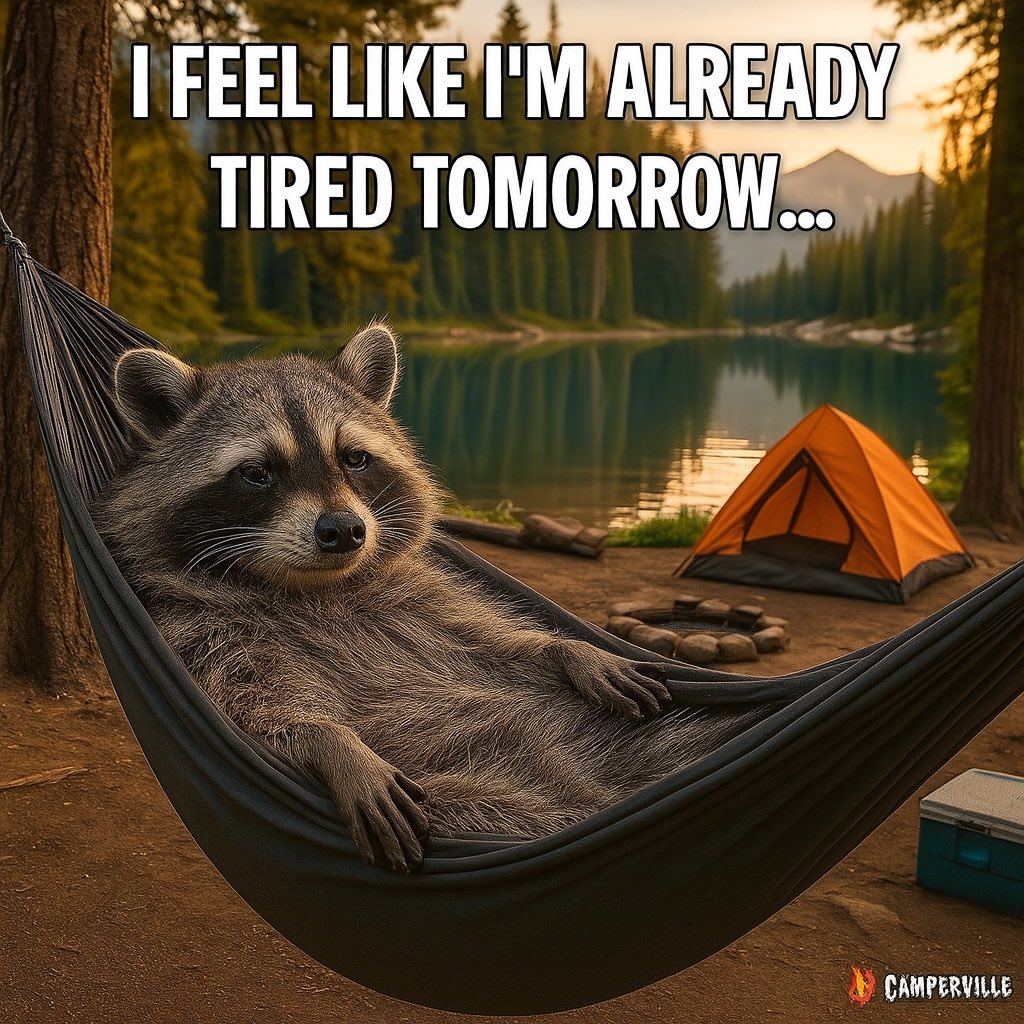 bezona_shelley's tweet image. Insomniac……because apparently 3AM is always the perfect time to reorganize my entire life