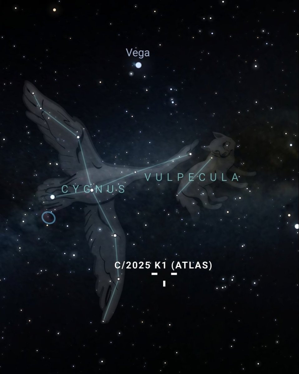 Scubadadoo's tweet image. C/2025 K1, furthering the unusual nature of this comet on a hyperbolic unbound trajectory, located near the constellations Vulpecula and Cygnus* (a very peculiar stargate),
this vid unveils a neat little countdown of a distance to its
arrival 👀
at the time of this post 🤔