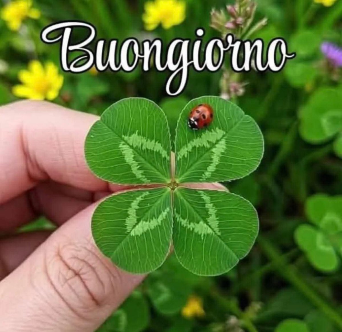 Buona giornata 😘😘😘