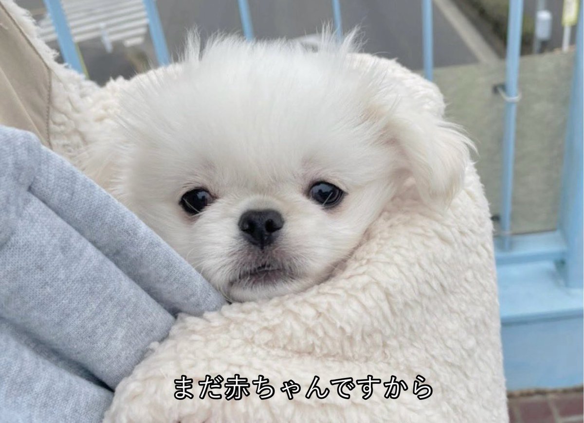 𝐿𝑂𝑉𝐸𝑌𝑂𝑈 (@the_mucho_world) on Twitter photo 