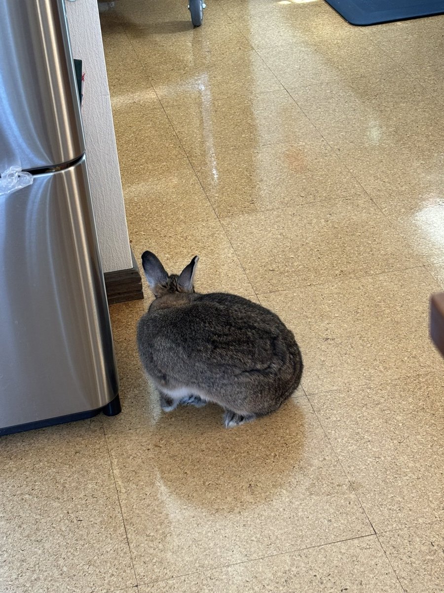 うさう (@obxygi) on Twitter photo 