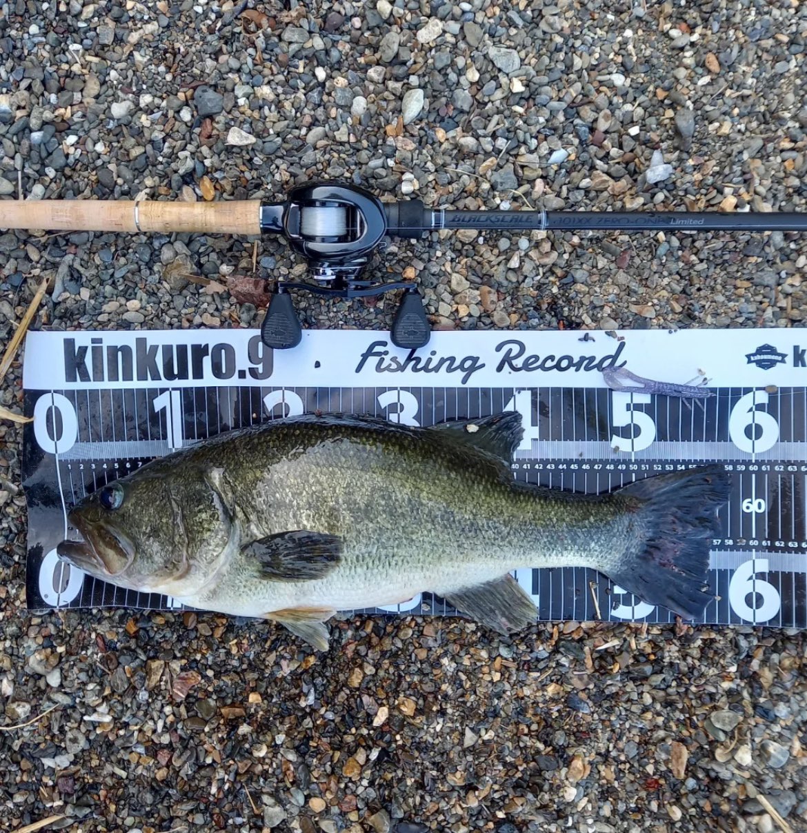 ロッド New Valley Hill Zero-one BKDC-101XX Amazon.co.jp: Valley Hill Black Scale Distance Edition Zero