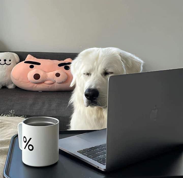 mood ง่วงมากเมื่อไหร่จะวันศุกร์ :