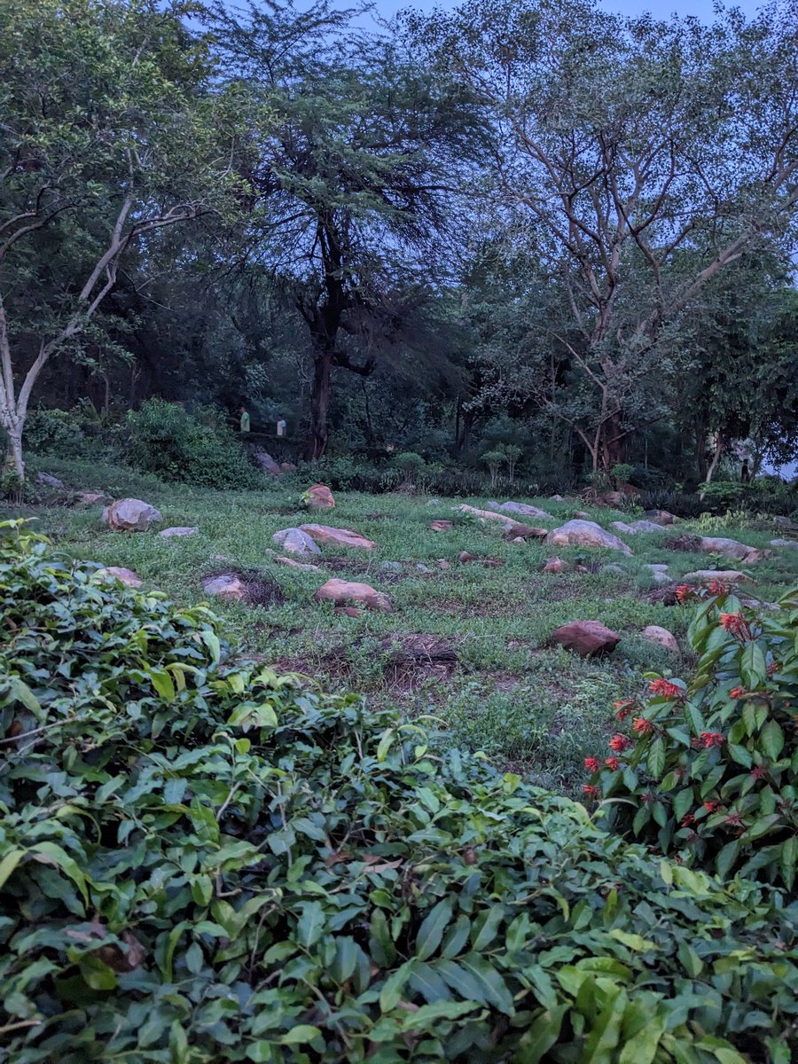 Pranav Gupta tweet media