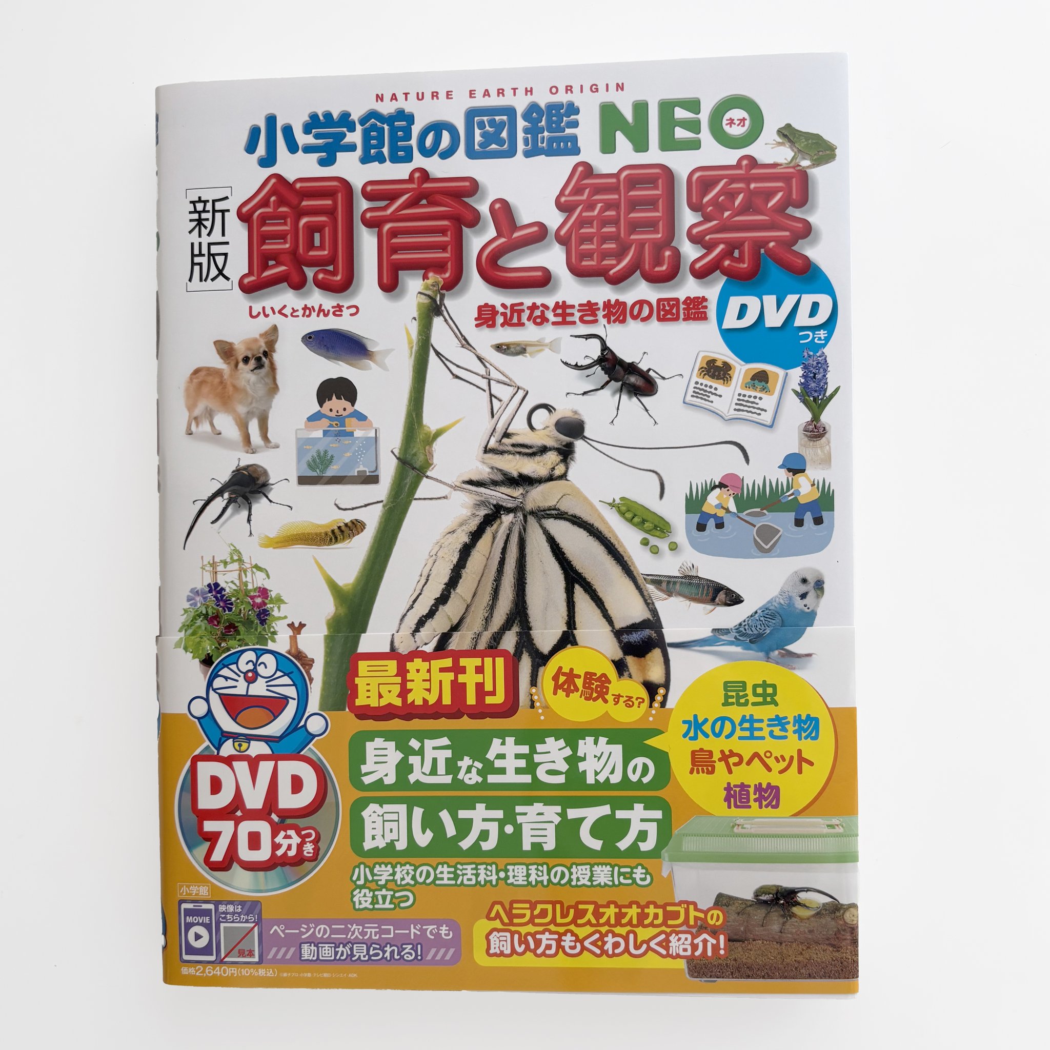自然観察と生態シリーズ全10冊+自然観察観察シリーズ3冊(小学館) 自然観察と生態シリーズ全10冊+自然観察観察シリーズ3冊(小学館)