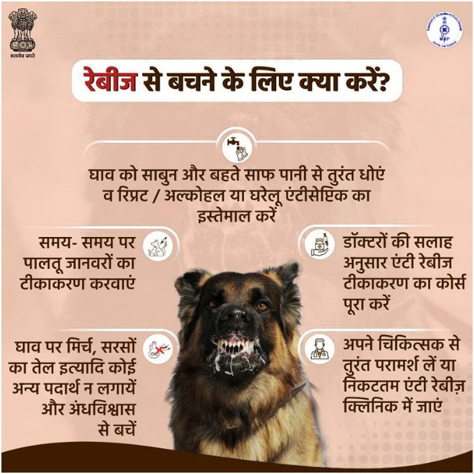 DiprKathua's tweet photo. #RabiesPrevention | रेबीज़ से सुरक्षा आपके हाथों में है!

कुत्ते या किसी जानवर के काटने पर तुरंत घाव को धोएं, झोलाछाप इलाज से बचें, और डॉक्टर की सलाह से एंटी रेबीज़ वैक्सीन जरूर लगवाएं।समय पर पालतू जानवरों का टीकाकरण भी ज़रूरी है।

#HealthForAll #Rabies #AnimalBite
@diprjk https://t.co/ZU4kfBRH2C