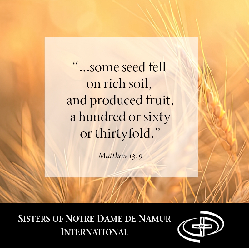 July 23 "...some seed fell on rich soil, and produced fruit, a hundred or sixty or thirtyfold." Matthew 13:9