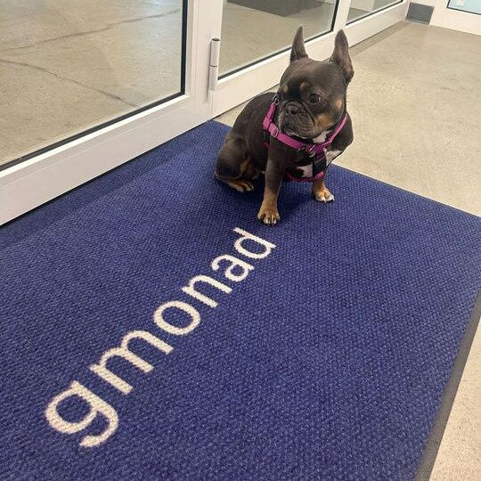 jobocuofweb3's tweet image. GM CT

Can I get a Gmonad ? 👾