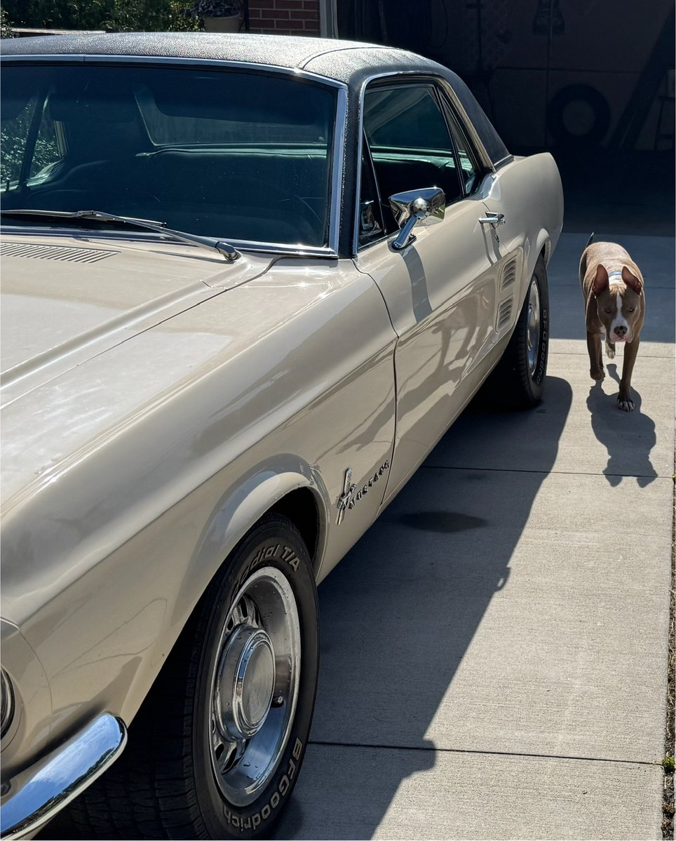 detroitbliss's tweet image. Apollo didn’t get to ride in it today, but he’ll be in the passenger seat soon.