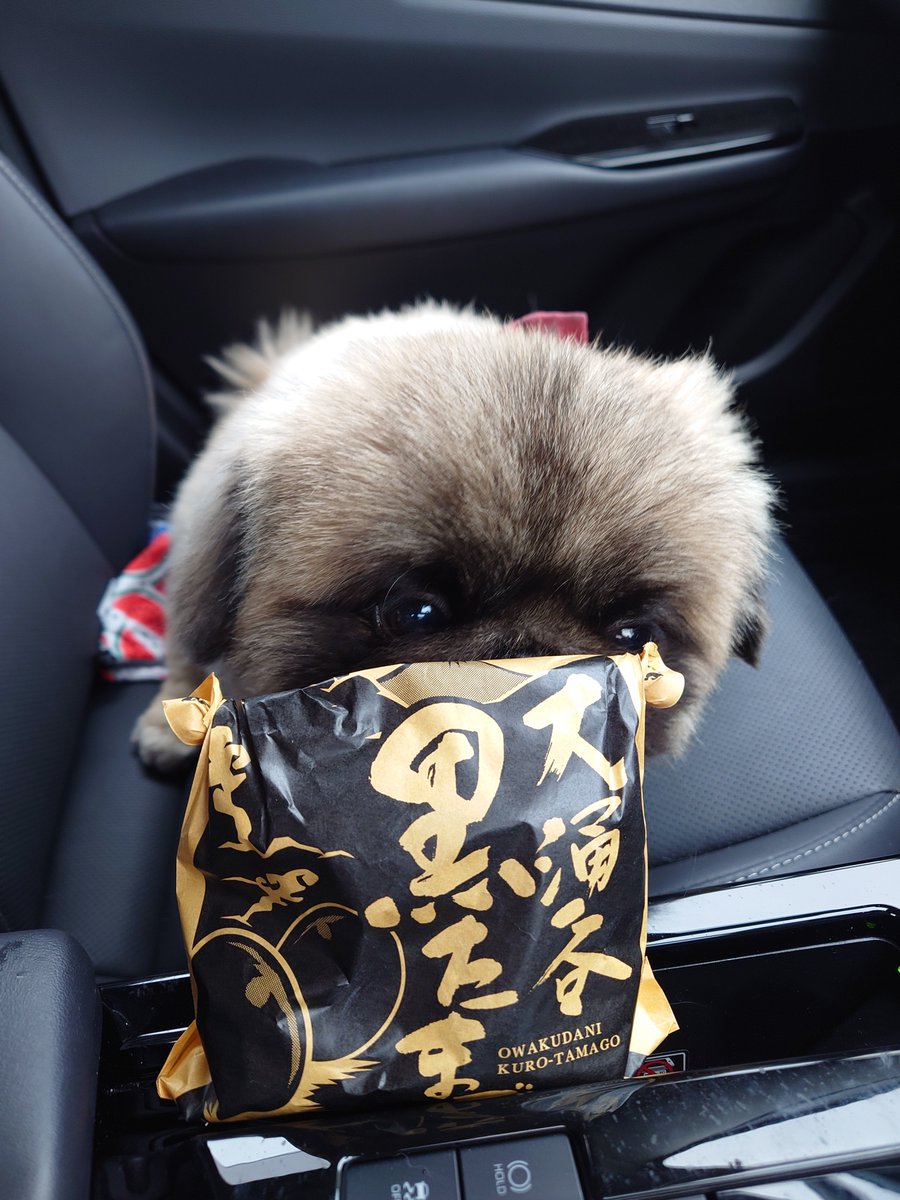 🍔ぷろしゅーと🍟 (@prosciuttowanko) / X