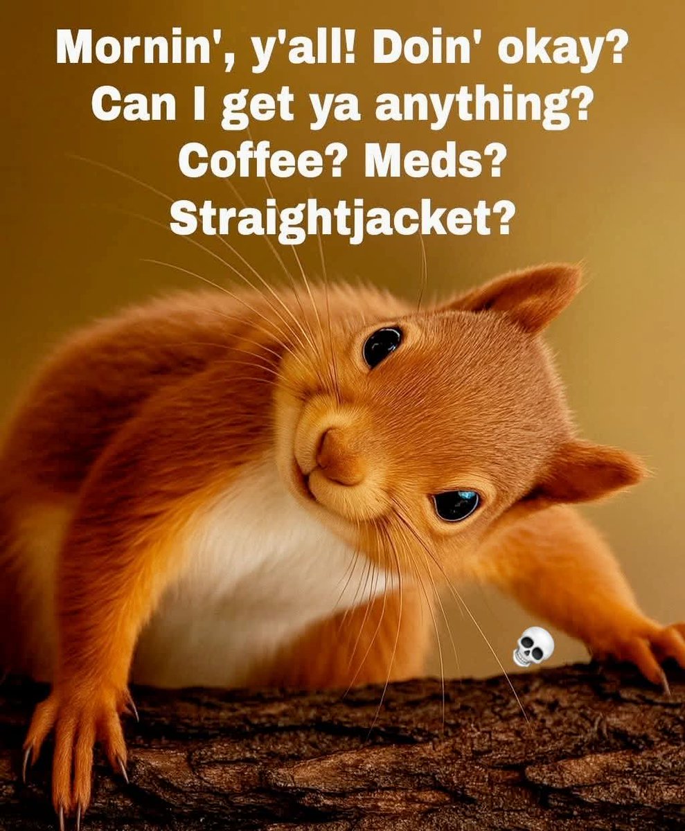 🌻🌸🌹🌺🌳🌻🌸🌹🌳🌺🌻