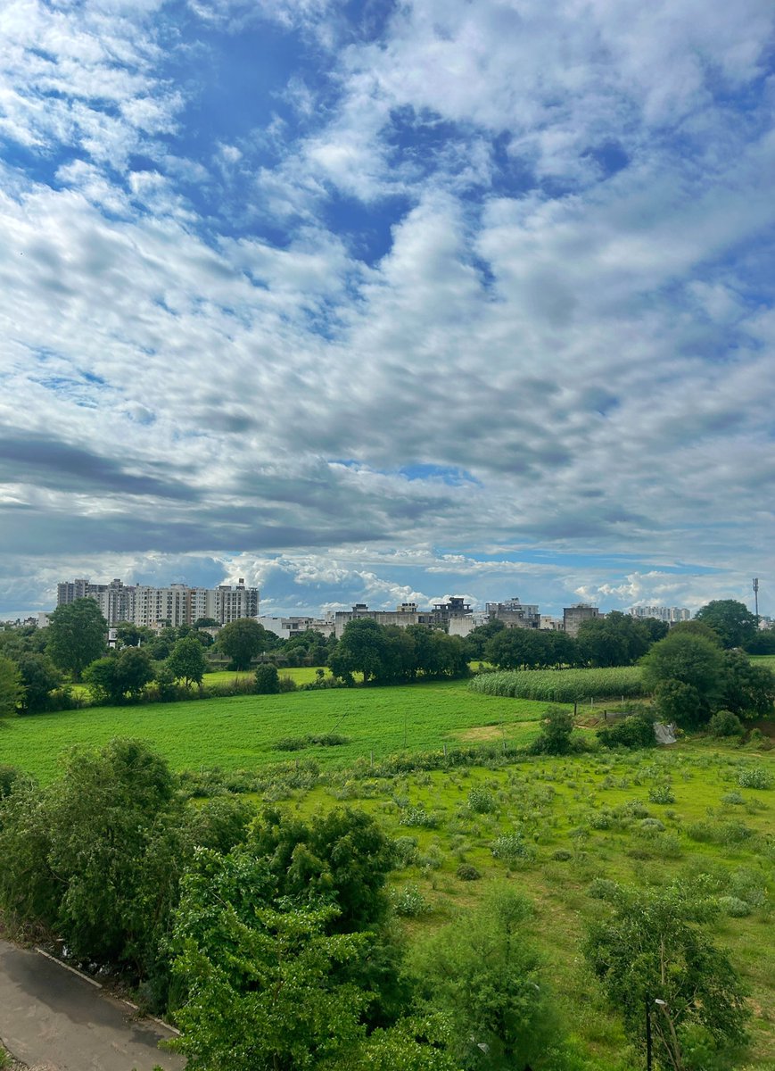aaraynsh's tweet image. Jaipur is having a beautiful morning.