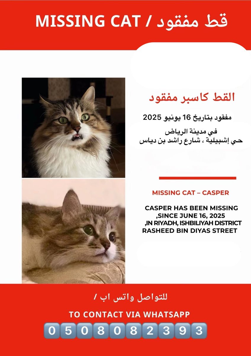 اللهم إني أستودعتك قطي، يا من لا تضيع ودائعه، يا من تحفظ الطير في السماء والدواب في الأرض، احفظه من كل سوء، من الجوع والعطش والحر والخوف والضياع، اللهم أطعمه واسقه، وطمئن قلبه، وطمئن قلبي عليه ورده لي 💔💔