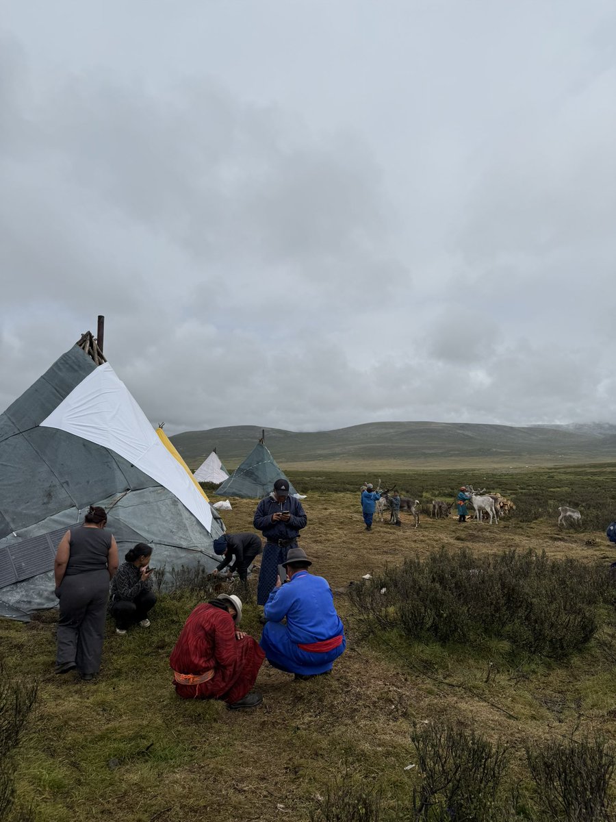 onwards26's tweet image. When you bring @Starlink to the nomadic Tsaatan Reindeer Familes in Mongolia.
@elonmusk