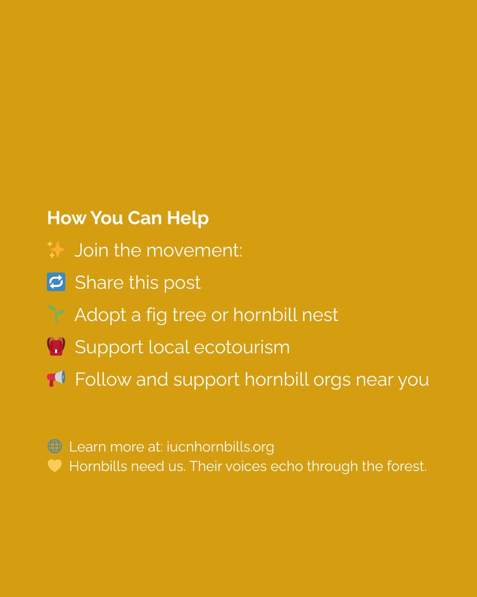Hornbills are in danger, but global efforts are stepping up to protect them!

Want to help? Adopt a nest, support ecotourism, or spread the word! Every action counts.

👇 Which initiative inspires you most? Tag a friend to get involved!

#IUCNHornbills #IUCNHSG