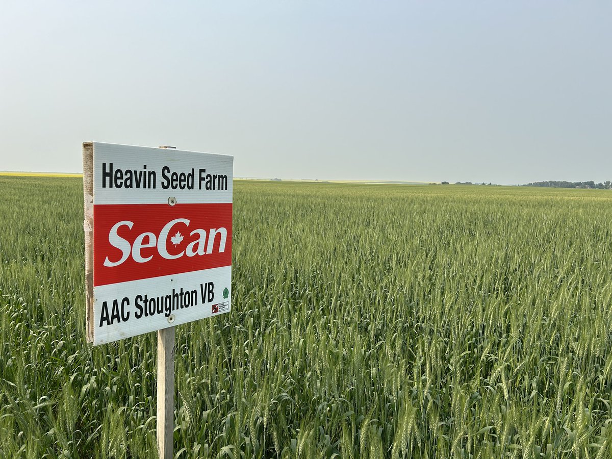 Grover Ryan Heavin tweet media