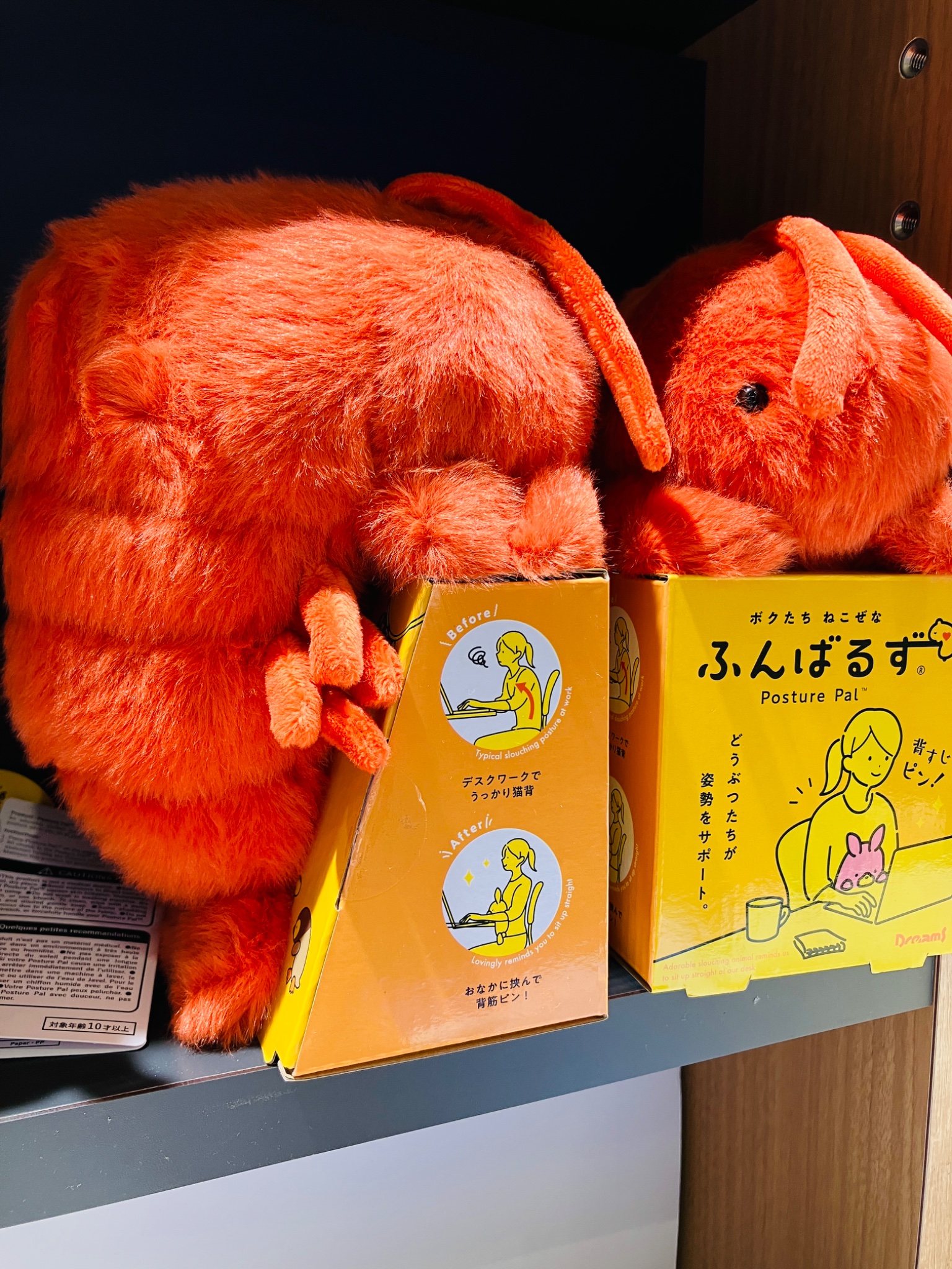 ふんばるず 【みな】 楽天市場】【ドリームズ公式】ねこぜなあなたをサポートする