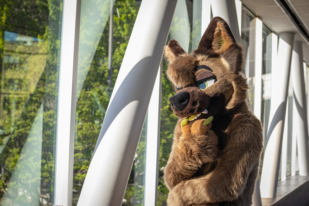Volks (@volksfusky) on Twitter photo there's a chance he might be thinking of something, but the truth is, there isn't a single thing going on in inside that noggin of his
πΈ<a href="/poodlepit/">Raydyn π© πMEGAPLEX</a> there's a chance he might be thinking of something, but the truth is, there isn't a single thing going on in inside that noggin of his
πΈ<a href="/poodlepit/">Raydyn π© πMEGAPLEX</a>