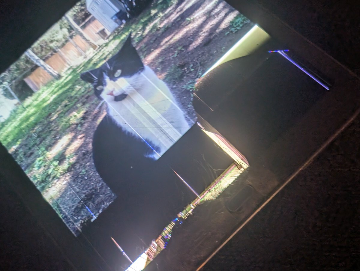 ElonTusk_4Real's tweet image. I saved up for a year for this tablet and I've taken amazing care of it for like ten years
I'm super duper duper fucking upset about this right now
This is soul crushing
I use this thing for art and video games every single day
I'm so fucking upset