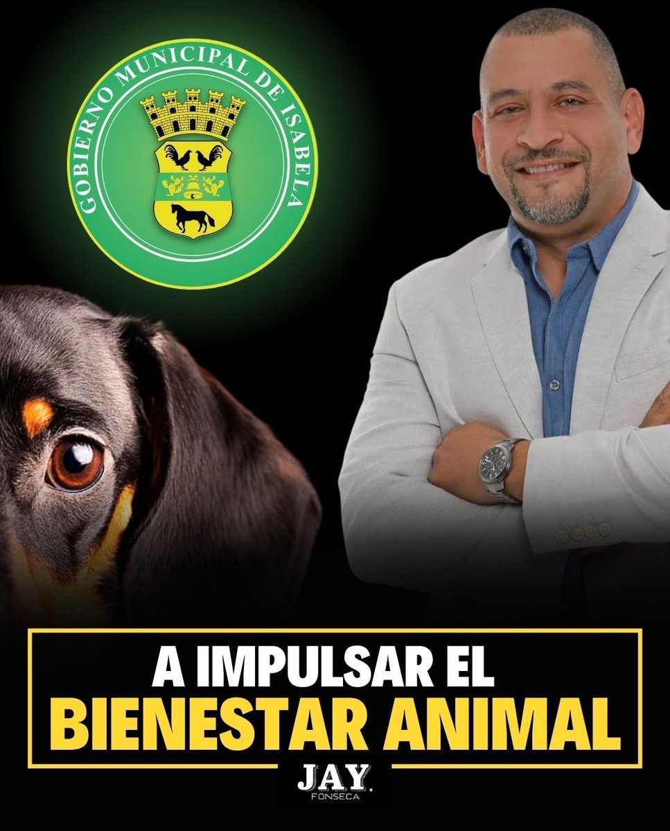 jayfonsecapr's tweet image. 🐾 El municipio de Isabela lanzó el programa especial “Isabela Cuida” para controlar la sobrepoblación de animales y proteger la salud pública, fomentando la esterilización, vacunación y adopción responsable.
💰Comerciantes y ciudadanos podrán hacer aportaciones voluntarias, y…