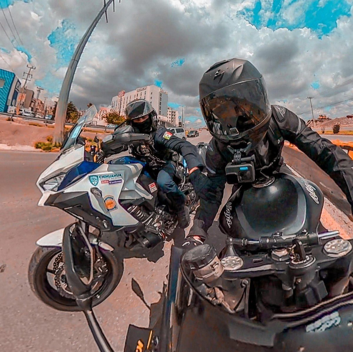 Out Of Context Chihuahua tweet media