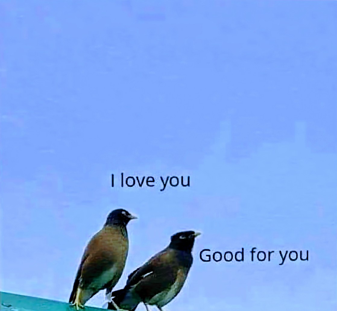 YEGwindshield's tweet image. I&apos;m not sure who made this but it makes me laugh 😂🤣😅 every time I see it